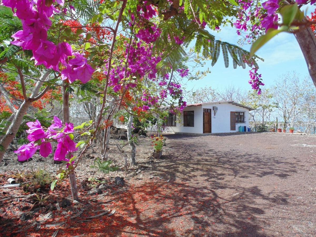 Casa Verde Vacation Garden Home San Cristobal Exterior photo