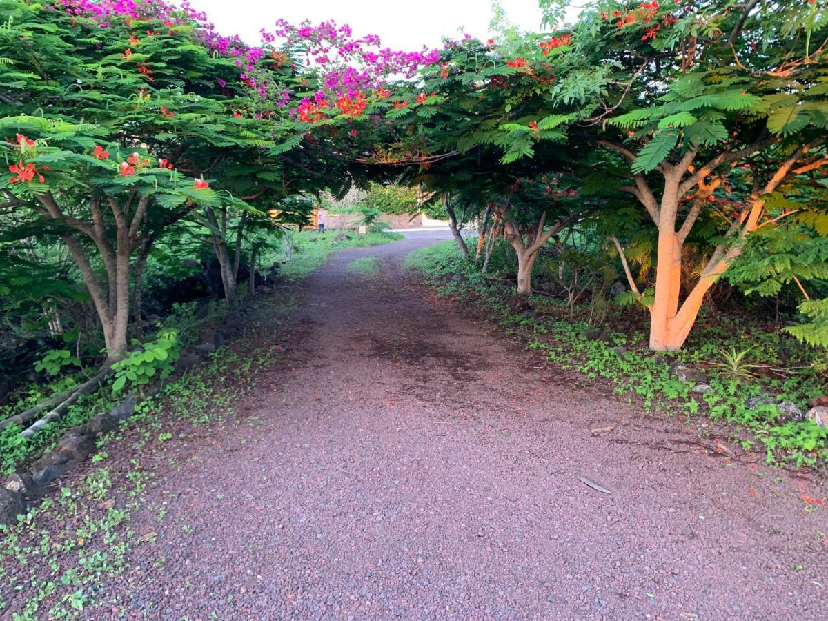 Casa Verde Vacation Garden Home San Cristobal Exterior photo